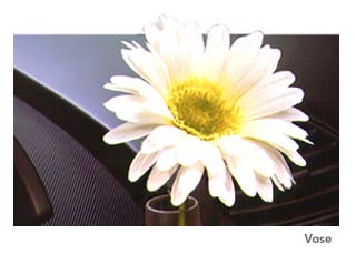 beetle_lrg_vase.jpg (11825 octets)