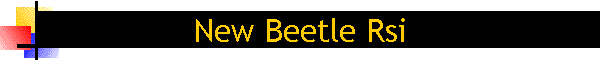 New Beetle Rsi
